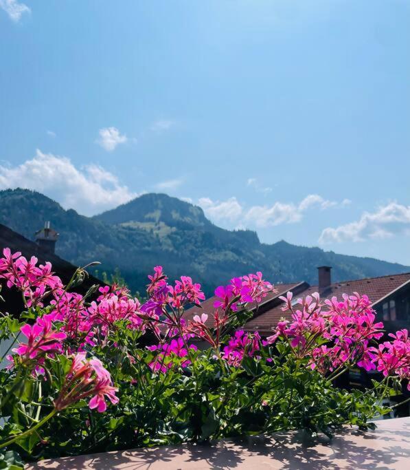 Berge, Wandern, Erholung Pur! Fewo Tinka-Haus Katja Bad Hindelang Exterior foto